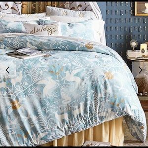 Pottery Barn Teen Duvet Cover and Shams